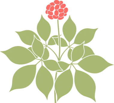 金日光教授:(七十九)永不忘当年钱老劝导我们“用当代科学传承《黄帝内经》医理和建立《中药本草》科学药理标准”的教导(图3) 金日光教授:(七十九)永不忘当年钱老劝导我们“用当代科学传承《黄帝内经》医理和建立《中药本草》科学药理标准”的教导(图3)