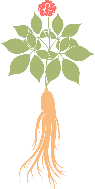 金日光教授:(七十九)永不忘当年钱老劝导我们“用当代科学传承《黄帝内经》医理和建立《中药本草》科学药理标准”的教导(图6) 金日光教授:(七十九)永不忘当年钱老劝导我们“用当代科学传承《黄帝内经》医理和建立《中药本草》科学药理标准”的教导(图6)